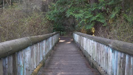 Manmade-wooden-bridge-on-a-hiking-path-in-Washington-State