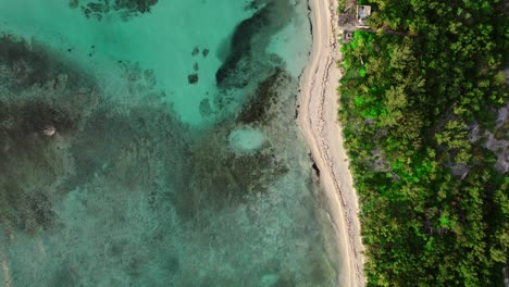 Aerial-Top-Down-Tracking-Shot-of-Beach-Between-Turquoise-Ocean-and-Green-Forest