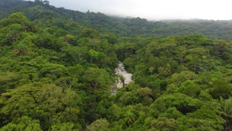 Dense-green-forest-in-the-cloudy-mountains-of-Colombia,-Minca-Jungle,-aerial-flyover