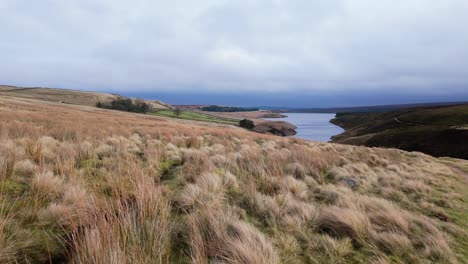 Yorkshire-Moorlandschaft-In-Der-Englischen-Landschaft