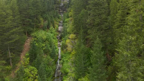 Waldnaturlandschaft-Und-Wasser,-Das-Von-Einem-Kleinen-Wasserfall-Fällt
