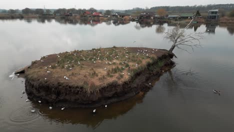 Aerial-view-of-small-seagull-island-at-Adamov-lake-Slovakia