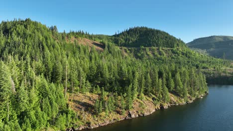 Drone-shot-of-Spirit-Lake's-shore-filled-with-evergreen-trees