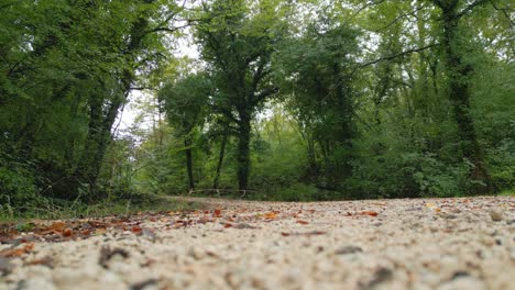 Pfad-In-Einem-Italienischen-Wald-Im-Herbst,-Kamera-Schwenkt-Nach-Oben