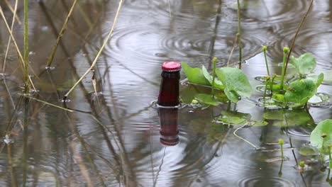 Weggeworfene-Flasche-Schwimmt-Im-Teich.-England.-Vereinigtes-Königreich