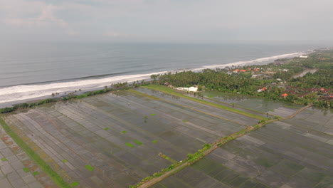 Entlang-Der-Küste,-Reisfelder-Ruhige-Und-Reflektierende-Landschaft