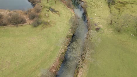Bach-Mündet-In-See,-Umgeben-Von-Grüner-Natur,-Luftaufnahme-Aus-Der-Drohne