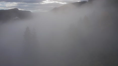 Eine-Reise-Durch-Tiefliegenden-Nebel-Enthüllt-Im-Herbst-Einen-Farbigen-Baumkronenwald-Im-US-Bundesstaat-Washington