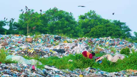 Brown-woman-in-red-dress-sorts-through-garbage-dump-in-landfill-in-Bangladesh