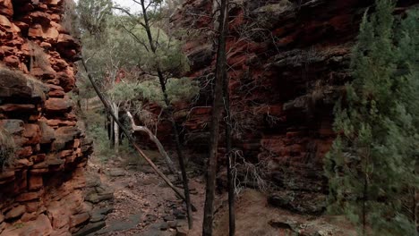 Spectacular-Alligator-Gorge-rising-dolly-shot-with-red-rock-cliff-and-dry-creek,-Mount-Remarkable-National-Park,-South-Australia