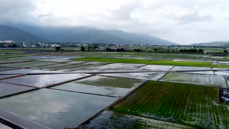 Vast-paddy-fields-with-varying-water-levels-under-cloudy-skies,-mountain-backdrop