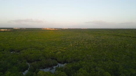 Tulum-green-Jungle-filmed-from-above-with-a-drone,-hidden-gems-of-nature