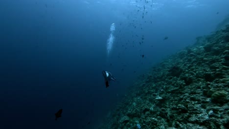 Solo-Scuba-Diver-Exploring-Reef-in-Deep-Blue,-Wide-Follow-shot