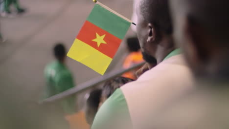 Kleine-Kamerun-Flagge-Auf-Der-Tribüne