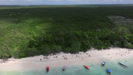 Herrliche-Aussicht-Auf-Sandstrand-Und-Klares-Grünes-Wasser-In-Nemba-Beach-In-Sansibar