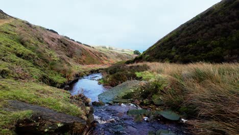 Yorkshire-Moorlandschaft-In-Der-Englischen-Landschaft