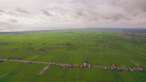 Panoramic-view-of-green-paddy-field-in-rural-Tanjung-Karang,-Malaysia
