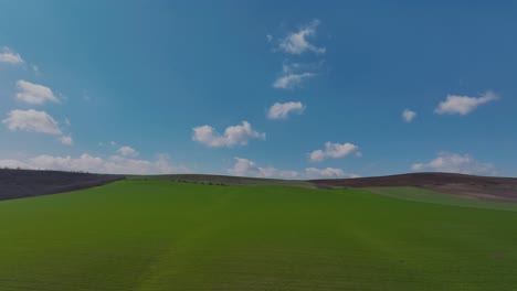 Aerial-low-shot-vibrant-green-agricultural-fields-blue-sky-at-the-horizon,-in-the-countryside-on-a-spring-sunny-day