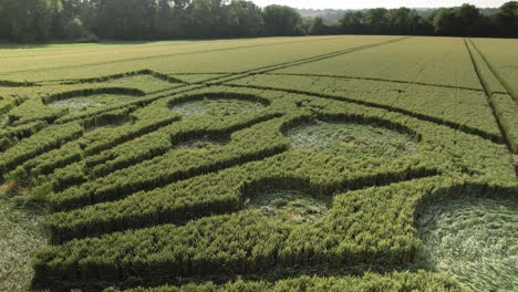 Wind-Blowing-On-Green-Crops-In-Crop-Circle-Pattern-On-Agricultural-Field-In-Owslebury,-Hampshire,-England