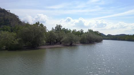 Manglares-Río-Vista-Exuberante-Vegetación-Cielo-Nublado