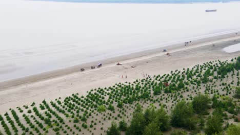 Reforestación-Con-árboles-De-Jahu,-Playa-De-Kuakata-Después-De-Mareas-Tormentosas,-Antena