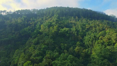 Drone-flying-over-a-beautiful-green-forest-on-the-hill-in-the-morning