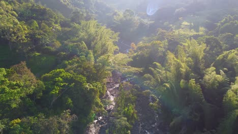 Aerial-view-of-a-stream-in-the-wild-forest-on-the-mountain-in-Colombia,-flyover