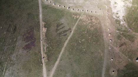 Overhead-Aerial-View-of-a-Field-of-Dolmens-and-Pathways-Across-Field