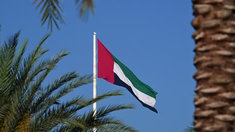 La-Bandera-De-Los-Emiratos-Árabes-Unidos-Ondeando-En-El-Asta-De-La-Bandera,-Enmarcada-Por-Palmeras,-En-La-Isla-De-La-Bandera-De-Sharjah-En-Los-Emiratos-Árabes-Unidos.