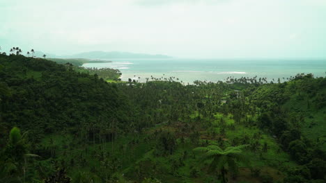 Tavarua-Falls-waterfall-beach-walk-jungle-mountain-Taveuni-Garden-Island-coral-coast-reef-break-sand-tropical-peaceful-waves-crashing-shoreline-palm-coconut-trees-rainy-sunny-cloudy-static-shot