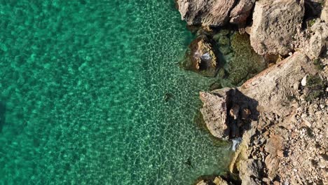 Sparkling-crystal-clear-sea-with-rocky-beach-top-down-drone-shot