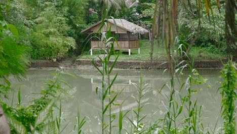 Scenic-landscape-view-with-wooden-house-at-the-Loboc-river,-Philippines