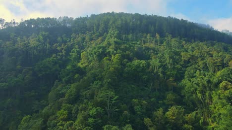 Aerial-view-tropical-forest-on-the-hill