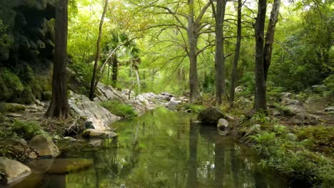 Imágenes-De-Drones-Filmadas-Volando-Sobre-Un-Río-Tranquilo-En-Medio-Del-Exuberante-Bosque-Rodeado-De-Rocas-Blancas