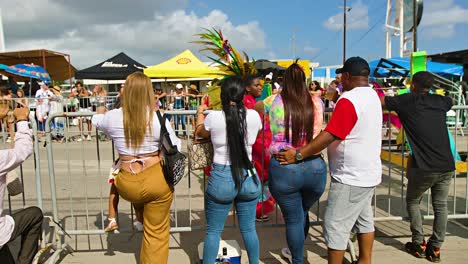 Rearview-of-women-and-couples-shaking-and-dancing-as-they-watch-Carnaval-parade