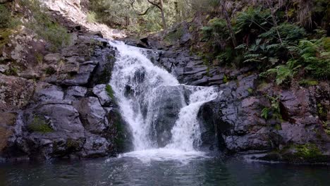 Beautiful-Forth-Falls-waterfall-cascade-in-Wilmot,-Tasmania,-Australia
