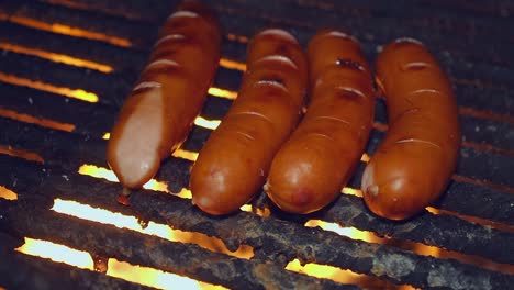 Food:-Close-up-brat-sausages-grill-on-open-fire-on-dark-night-in-camp
