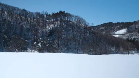 Snow-Covered-Fields-and-Hills-on-Clear-Sunny-Day-at-Daegwallyeong-Sky-Ranch---Pan-Right