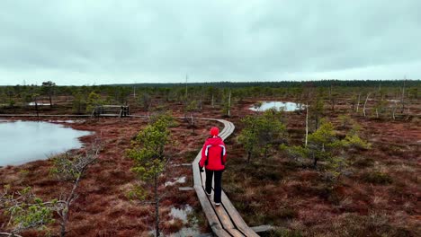 A-sad-woman-walks-alone-on-a-wooden-boardwalk-in-a-swamp-in-spring,-surrounded-by-frozen-water-and-small-pine-trees