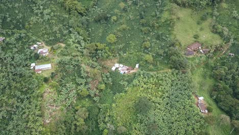 Perspectiva-Aérea-De-Casas-Ubicadas-En-Medio-De-Exuberantes-Campos-Verdes-En-Colombia