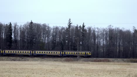 red-yellow-passenger-train-with-a-yellow-stripe-traveling-down-a-railroad-track-through-a-green-field,-with-a-forest-of-tall-trees-in-the-background-on-a-spring-day