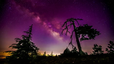 Pink-Milky-Way-sky-and-silhouette-of-trees,-time-lapse-view