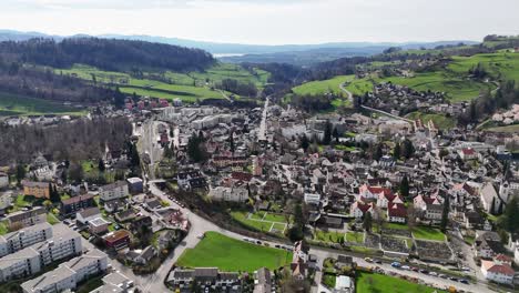 Wald,-switzerland-showcasing-the-town,-green-landscape,-and-hills-on-a-clear-day,-distant-horizon,-aerial-view