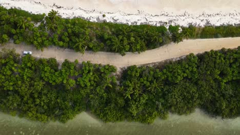 Aerial-view-high-of-the-tropical-forest-on-a-Sian-Ka'an-Biosphere-Reserve-for-the-morning