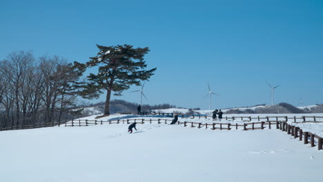 Un-Grupo-De-Personas-En-El-Rancho-Daegwallyeong-Sky-En-Invierno-Disfruta-De-Vistas-Cubiertas-De-Nieve-En-Un-Día-Soleado-Y-Helado,-Corea-Del-Sur