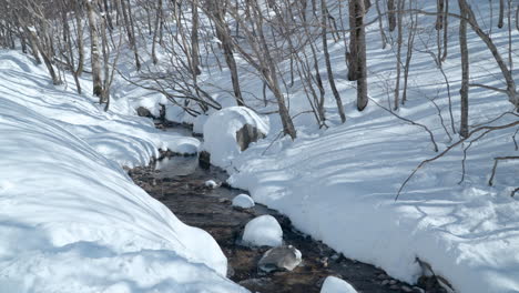 Mountain-Brook-Streaming-Though-Snow-Covered-Forest-in-Winter