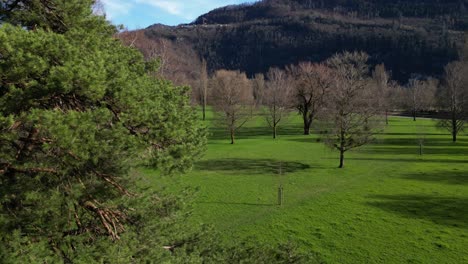 Drohnenclip,-Der-Durch-Einen-Gepflegten-Garten-Mit-Vielen-Hohen-Bäumen-Und-üppigem-Grünen-Rasen-Führt