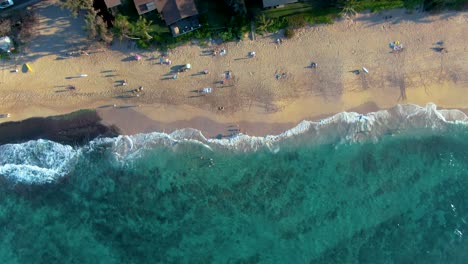Tourists-enjoying-sunny-day-at-Papailoa-Beach,-Hawaii
