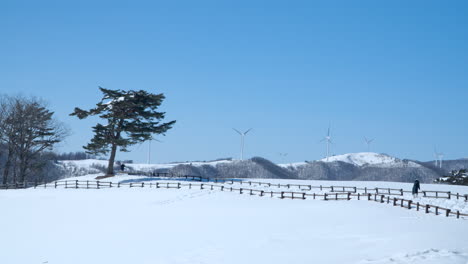Tourist-Take-Pictures-of-Majestic-Winter-Landscape-with-Wind-Turbines-at-Daegwallyeong-Sky-Ranch-Track