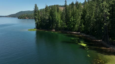 Toma-De-Drone-De-Una-Cala-Con-Nenúfares-En-Spirit-Lake,-Idaho